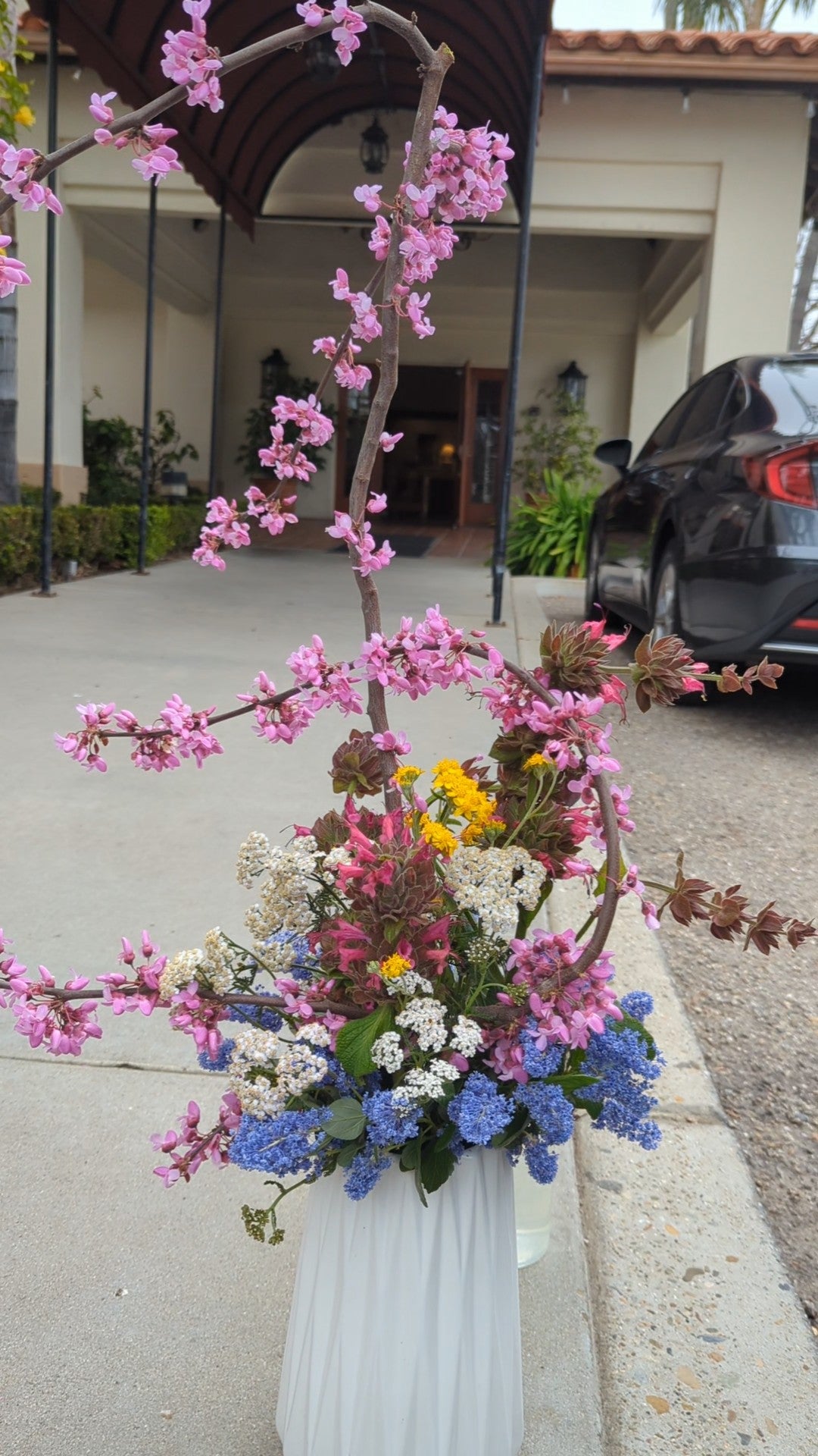 Yarrow image 2