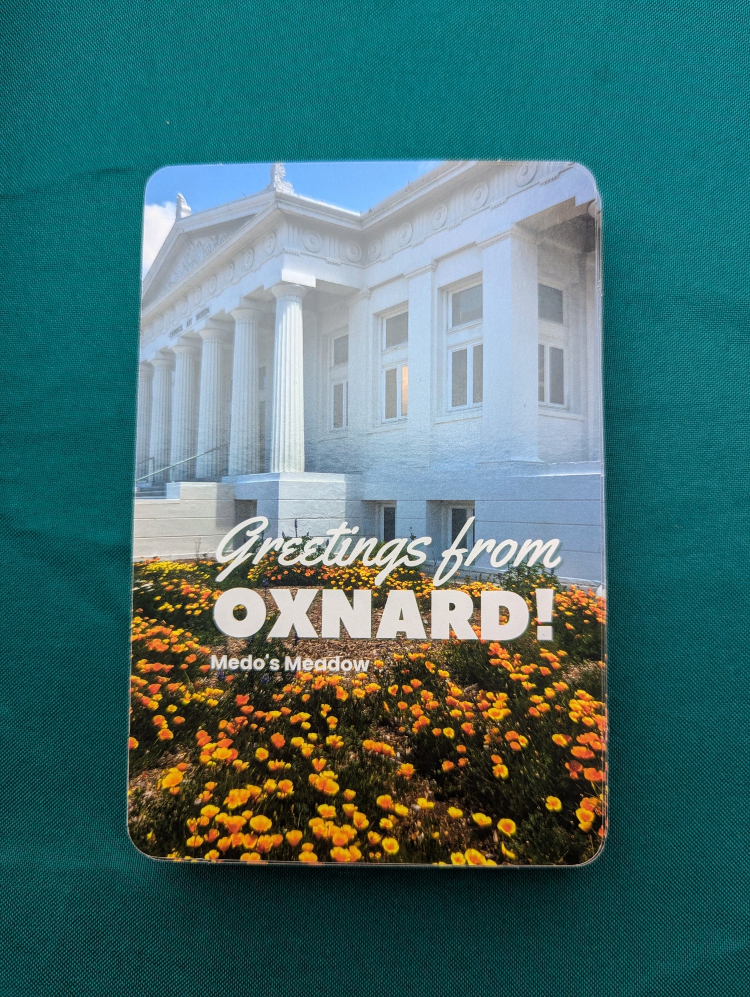 Medo's Meadow Postcard image 0