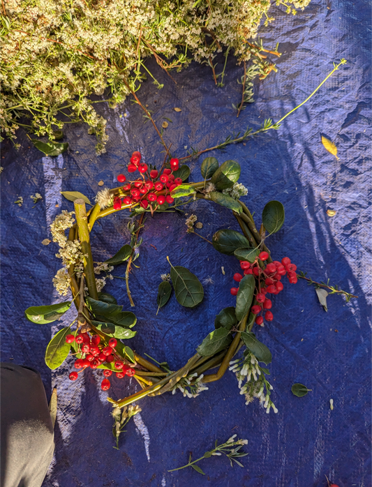 Toyon image 1