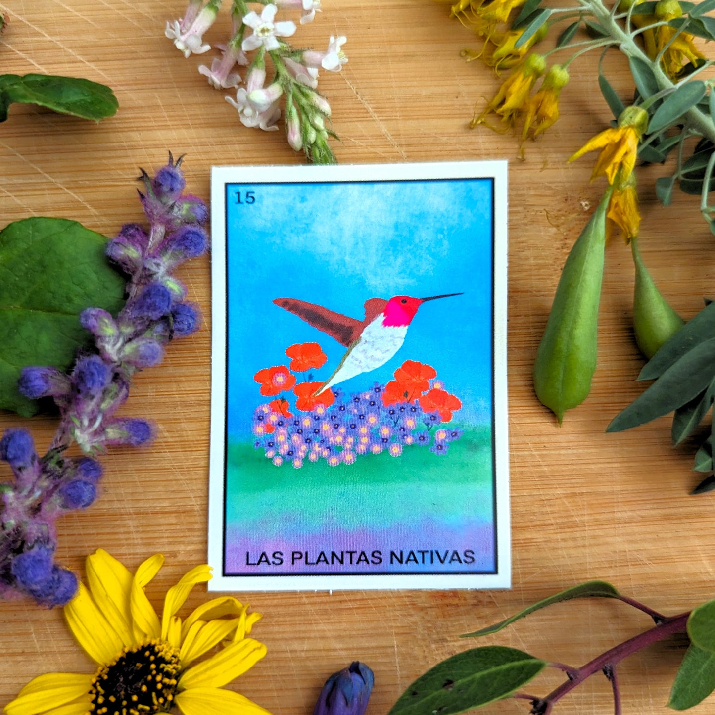 Las Plantas Nativas Loteria Sticker image 0